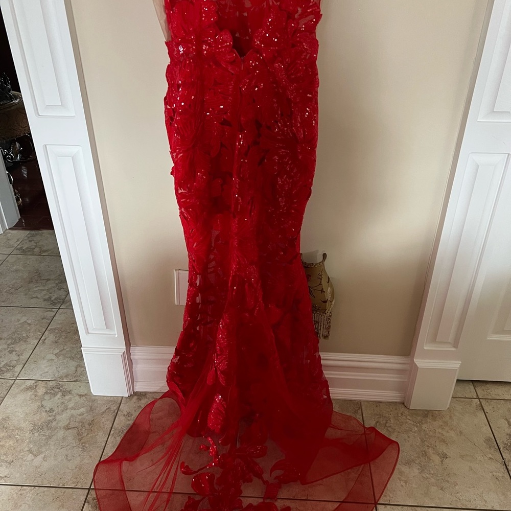 Prom / Formal Gown - Picture 2 of 6
